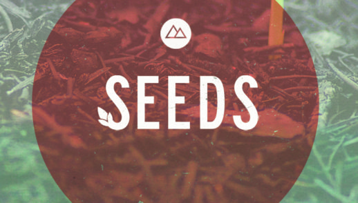 Seeds: Week 2