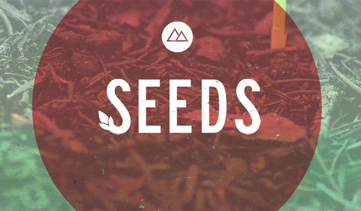 Seeds: Week 2