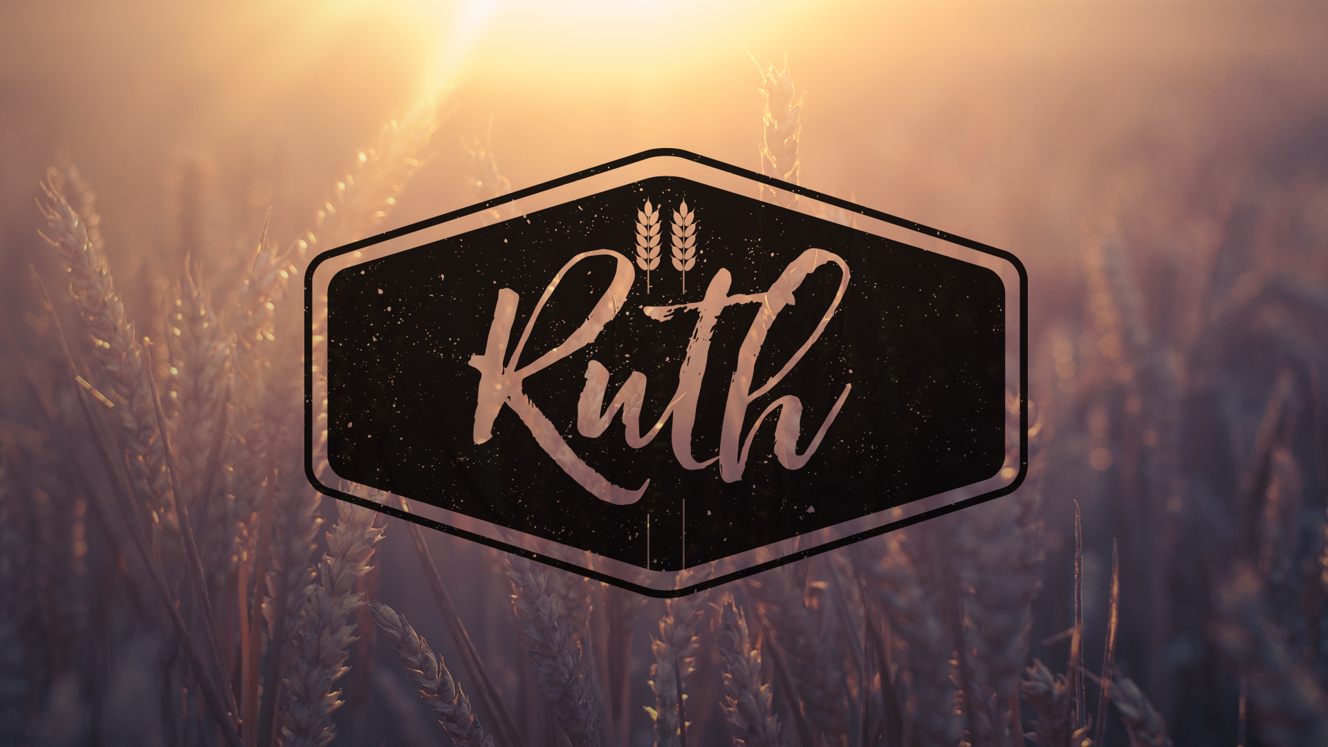 Ruth: Week 2